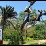 चंडीगढ़ बर्ड पार्क