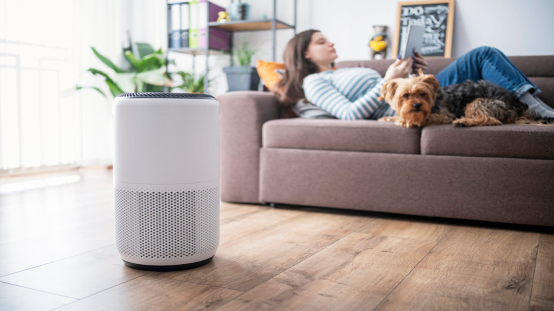 Delhi Air Pollution: How To Clean Air pollution Quality In Home Know The Tips And Tricks Here In Hindi