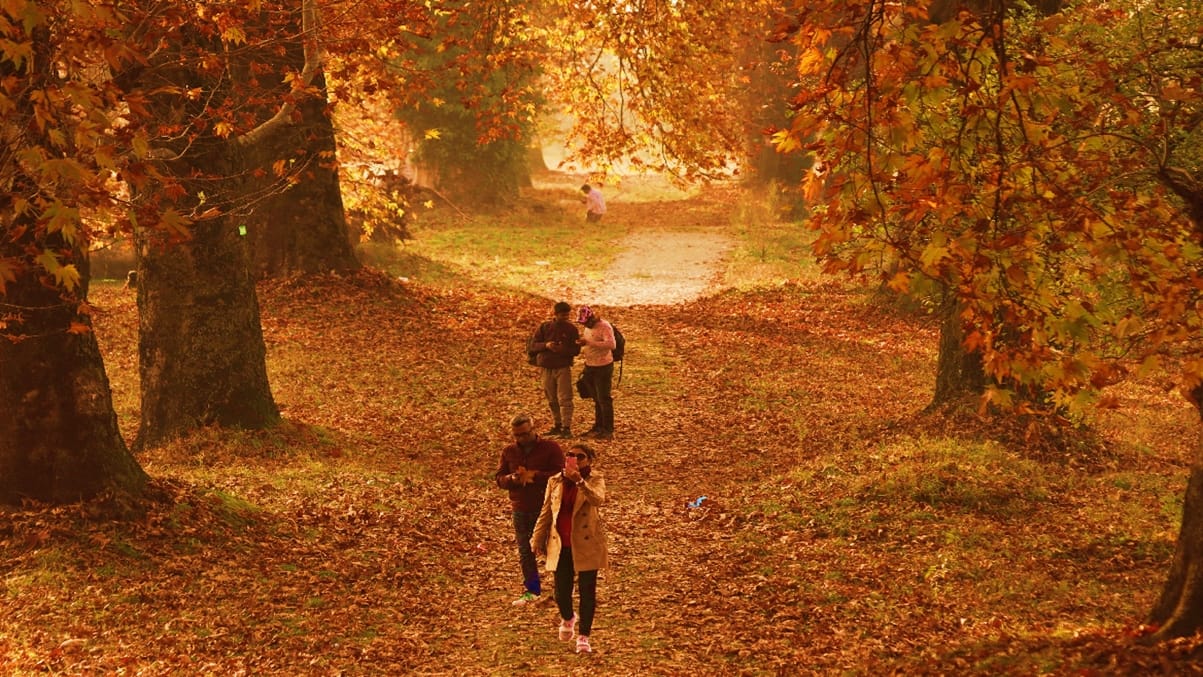 See colors of autumn in Kashmir in photos