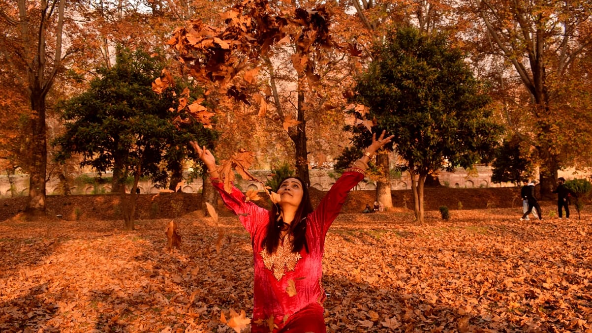 See colors of autumn in Kashmir in photos