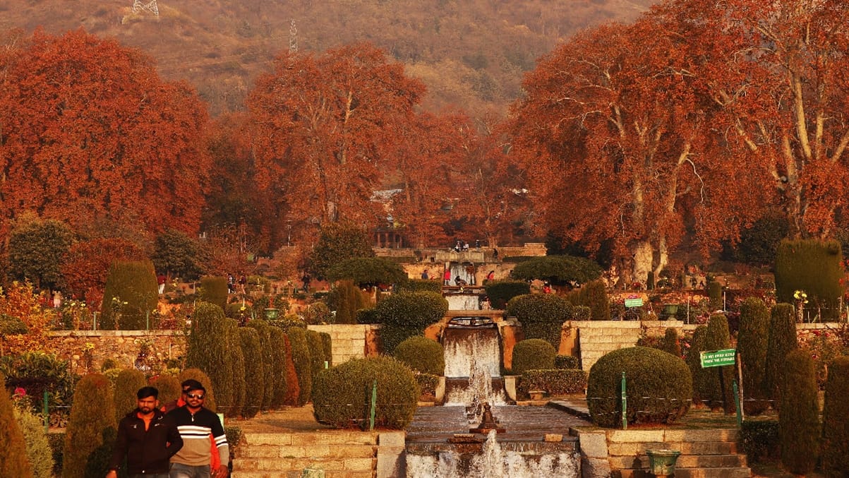 See colors of autumn in Kashmir in photos