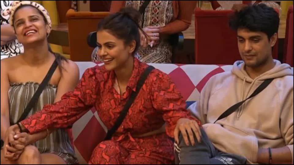 Bigg Boss 16 Shalin Bhanot told Priyanka Chaudhary entire mind game opened all the polls among the fans
