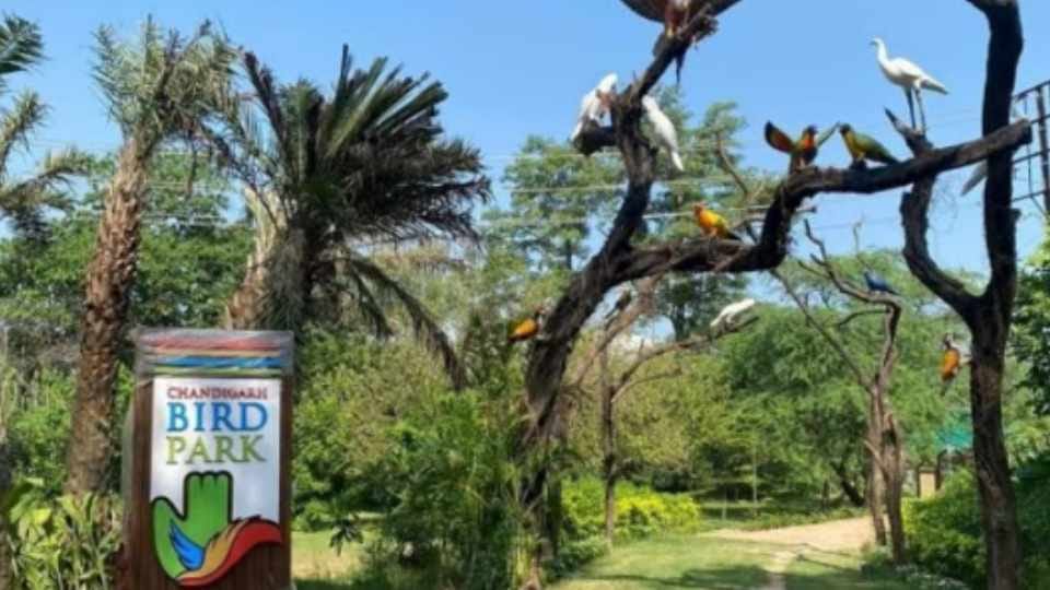 Chandigarh lagging behind in tourism, UNDP said learn from Singapore