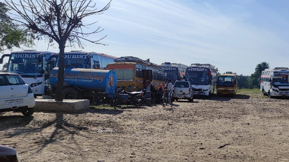 Private bus companies running their own parallel bus stand near government bus stand in Chandigarh