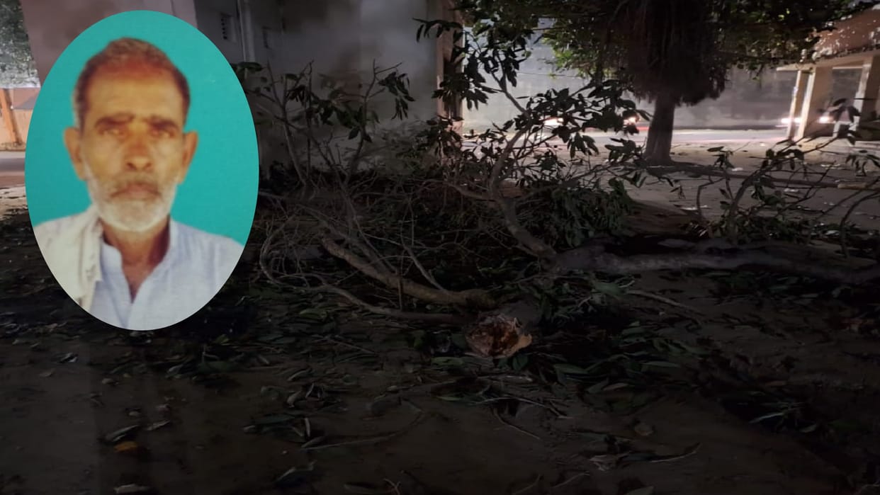 husband died after Tree branch fell on couple outside Gorakhpur jail