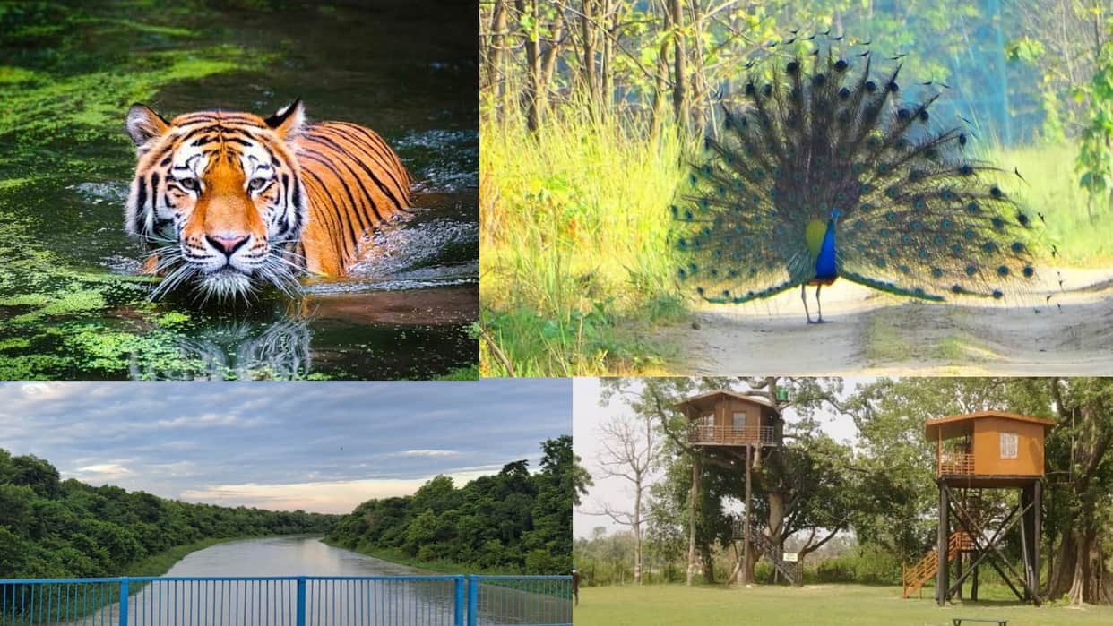 Katarniaghat open for tourists in Bahraich.
