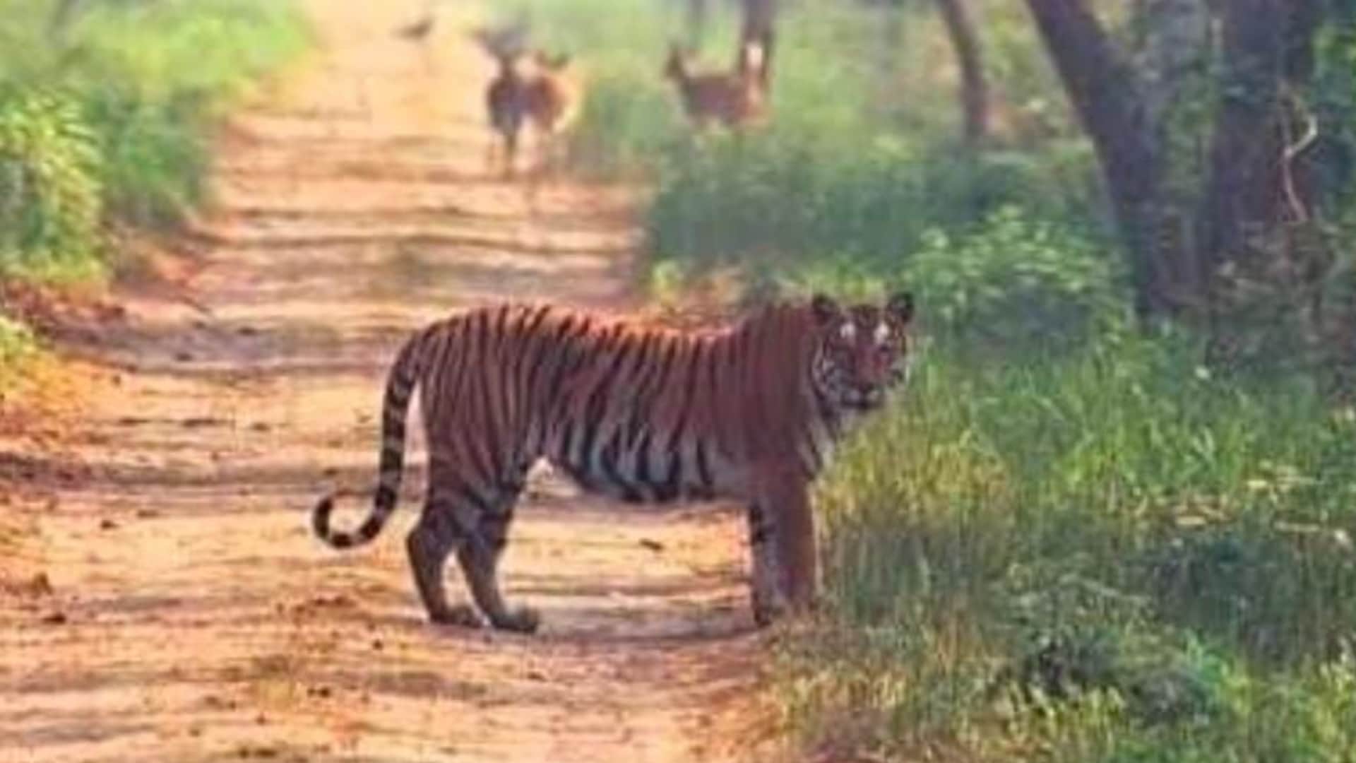 Katarniaghat open for tourists in Bahraich.