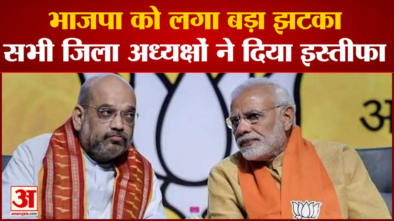 एमसीडी चुनाव