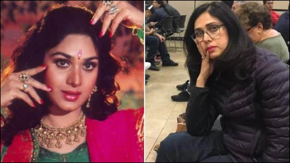 meenakshi seshadri birthday special actress career struggle and know how she looks now