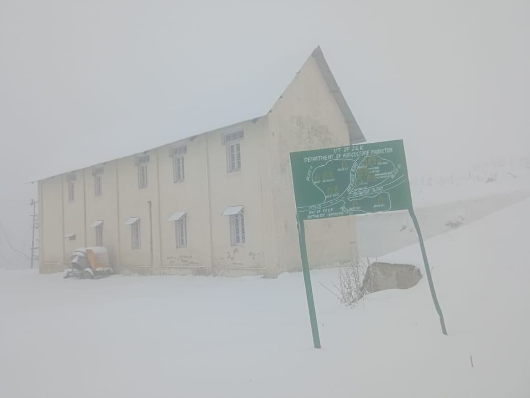 Snowfall in Jammu: 10 inches of snow in Nathatop