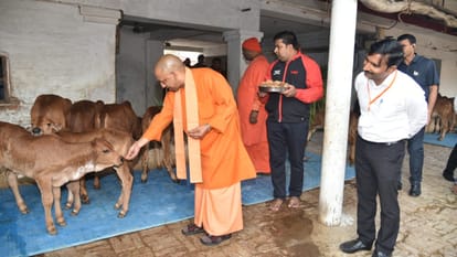 CM Yogi Adityanath offers prayer to shaktipeeth in Balrampur.