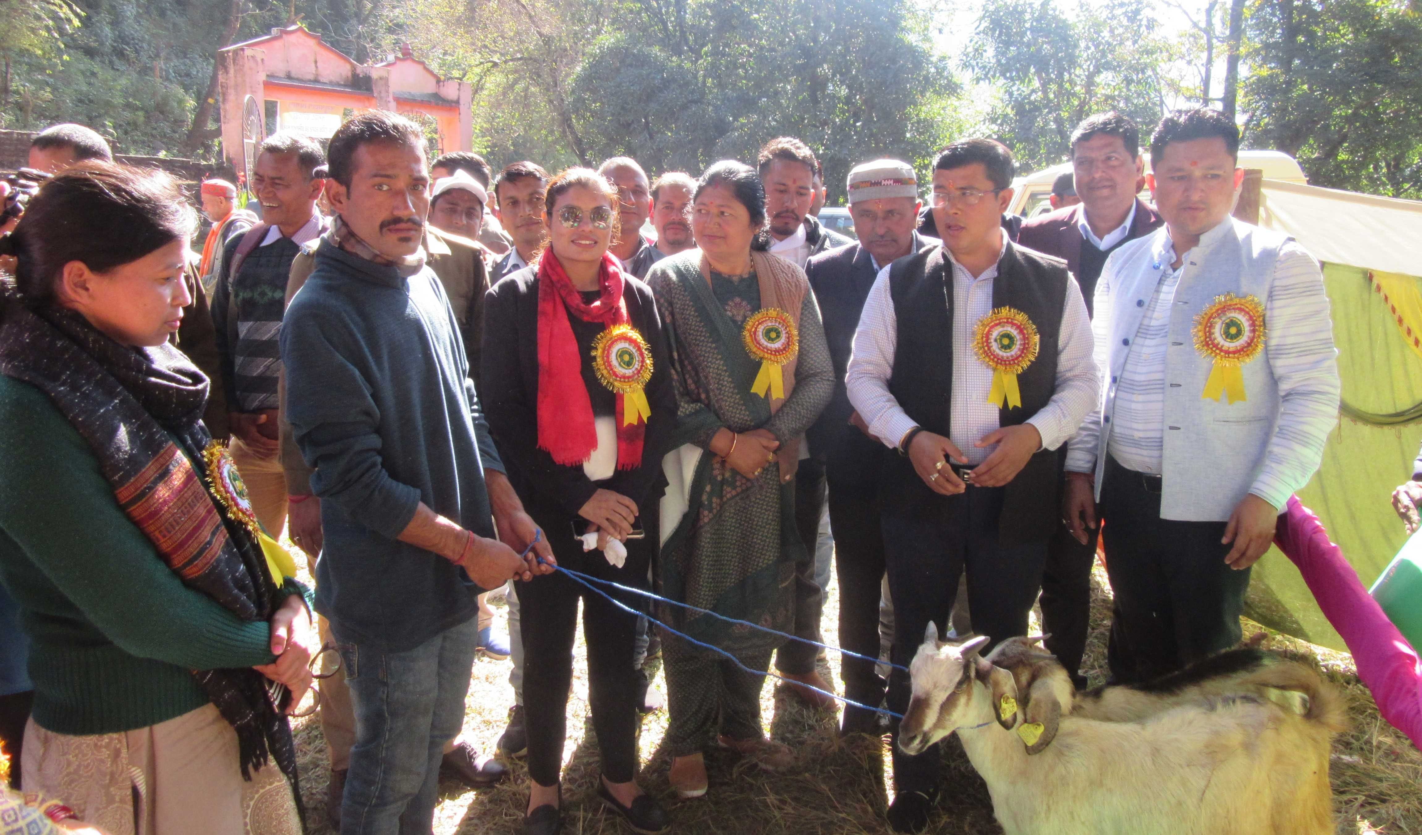 Got Farming in Bageshwar