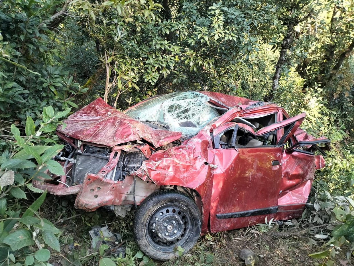 Car Accident In Chamoli Teachers car fell into ditch in Adibadri Uttarakhand news in hindi
