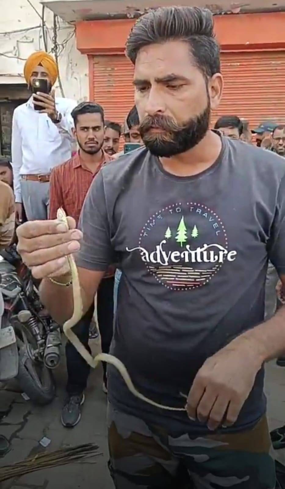 Snake enters parked motorcycle, takes 40 minutes to remove
