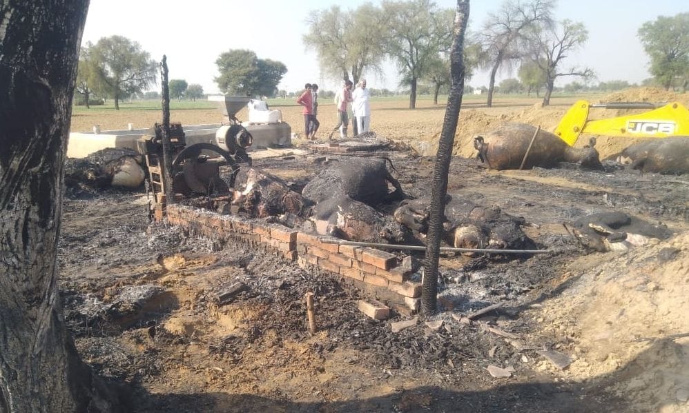 Dairy fire, 11 animals burnt alive