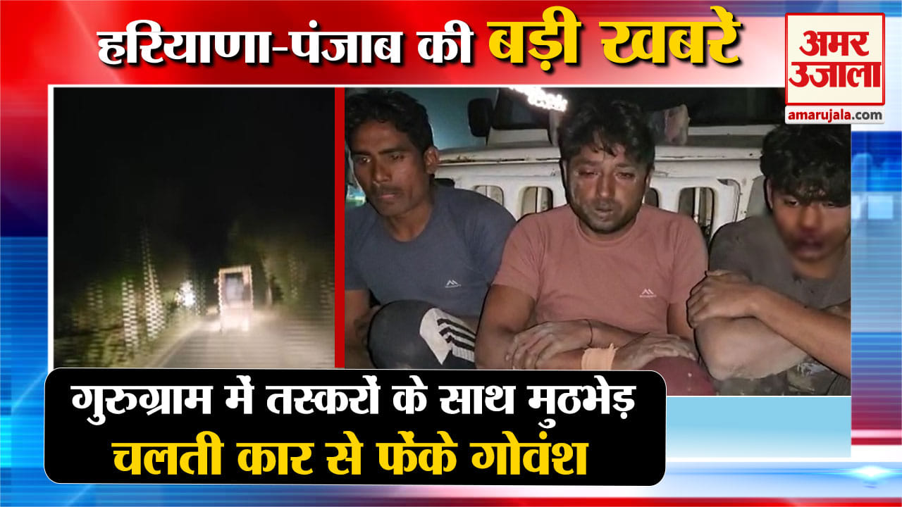 हरियाणा न्यूज