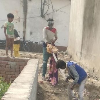 Hathras: 300 pigs have died so far due to mysterious disease, increased panic