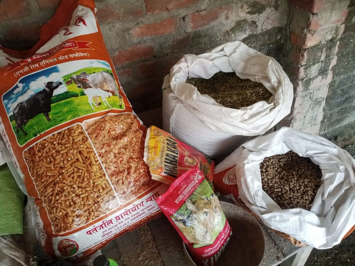 Expensive lime-bran has made animal husbandry difficult