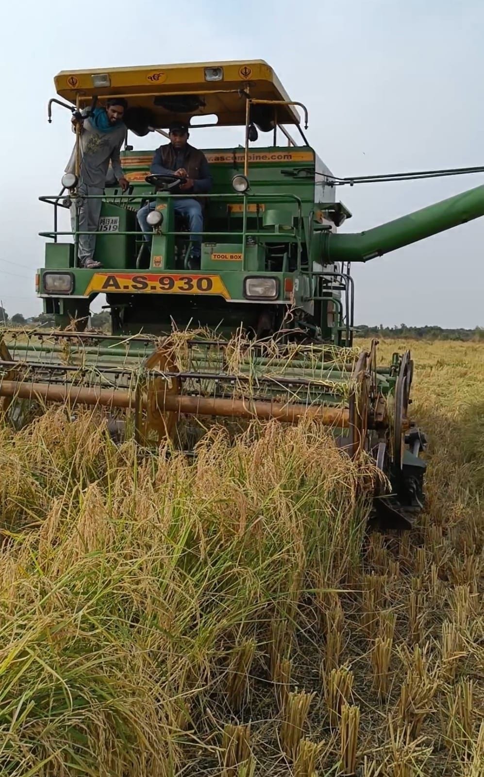 agriculture