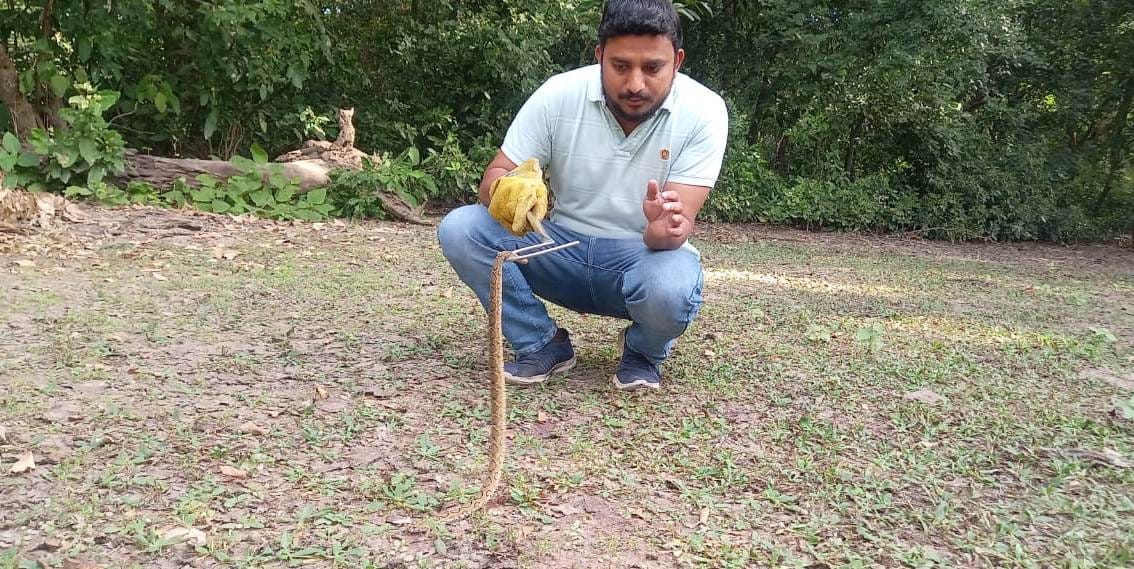 snake found in new colony
