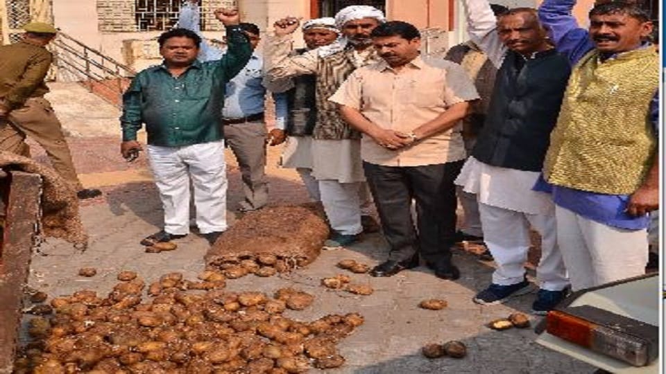 Farmers threw rotten potatoes in Collectorate and Horticulture Department agra