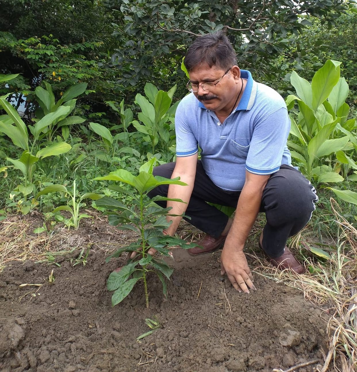 Dr. Ashutosh Pant giving  message of environmental protection with Miyawaki technique of Japan Uttarakhand