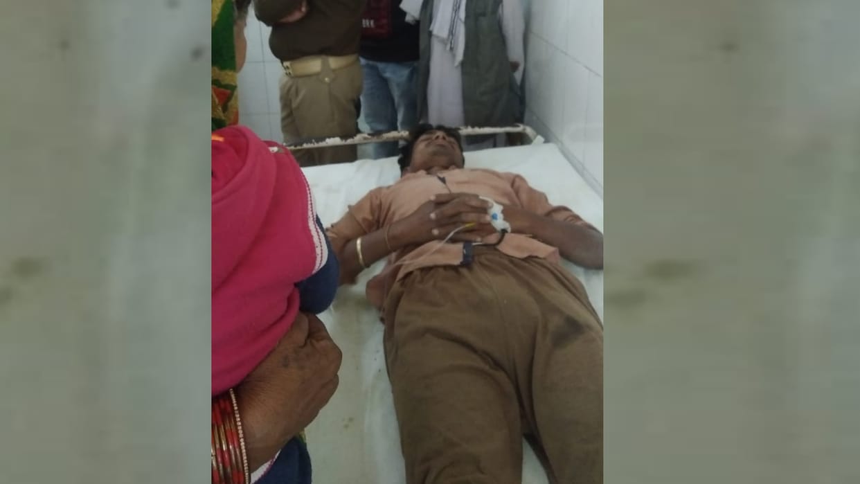 Bees attack on four in Ayodhya.