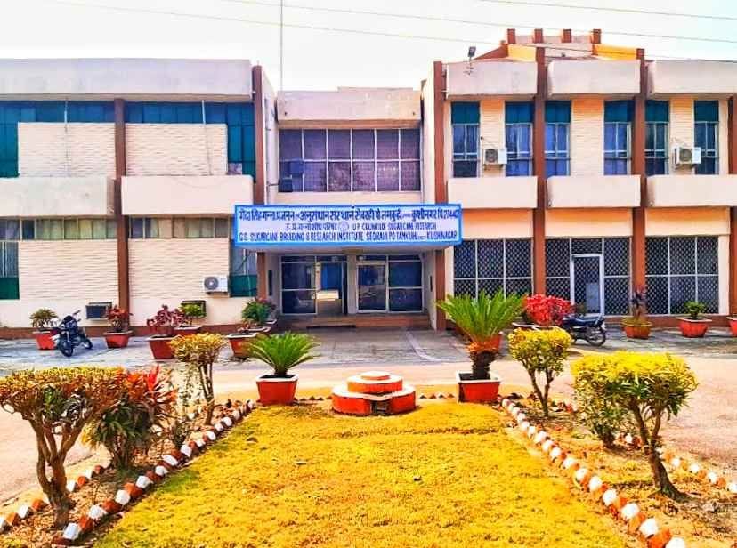 Additional director will be posted soon, condition of buildings will improve