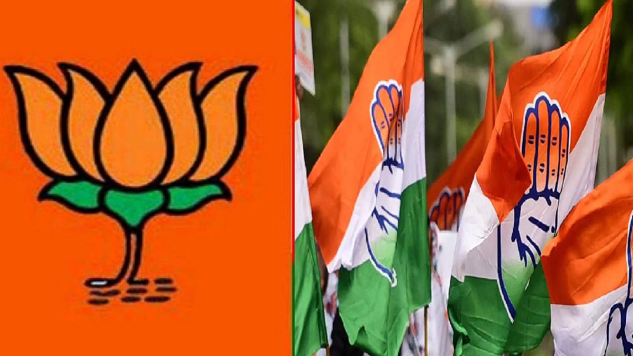Bjp flag, congress flag