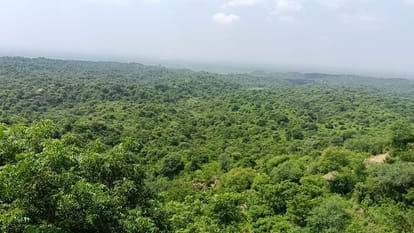 Centre Appreciate Himachal ahead of Andhra and Gujarat in building Bulk Drug Pharma Park