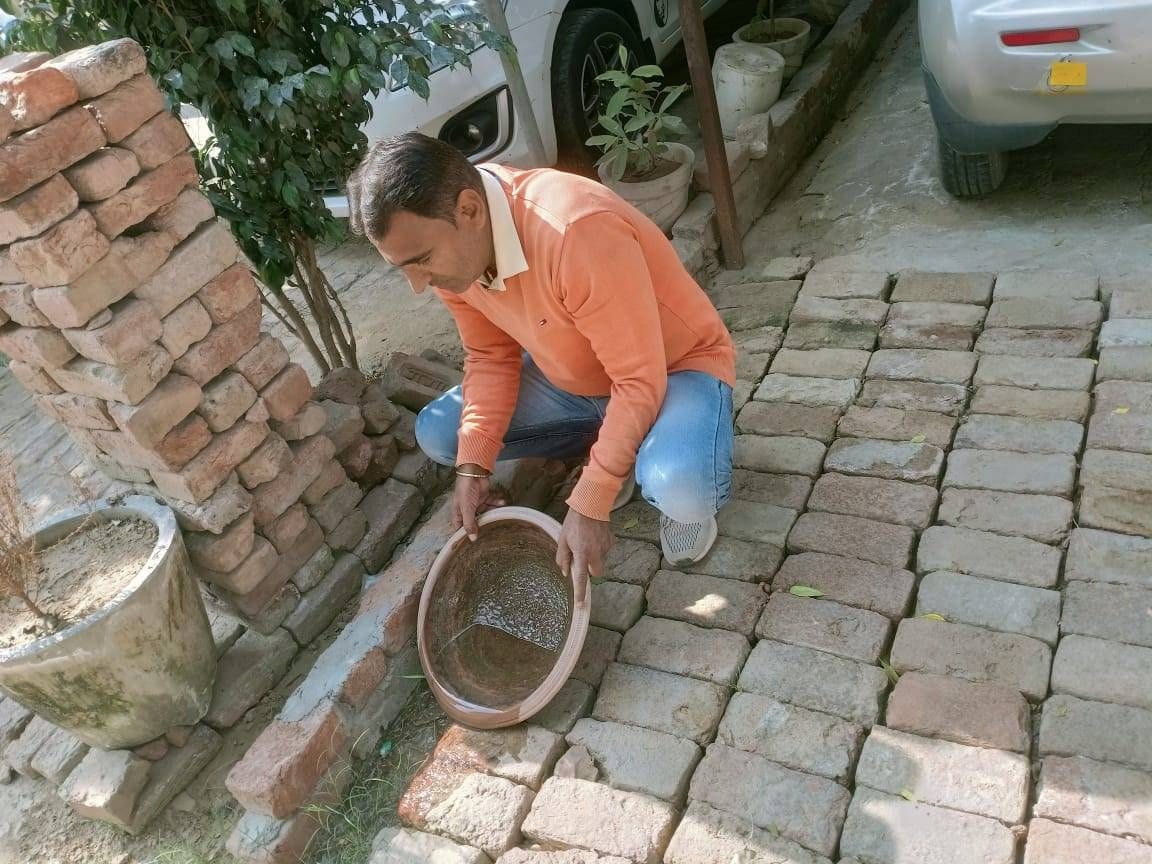 Fatehabad, Tohana cities become dengue hotspots, six victims, including siblings