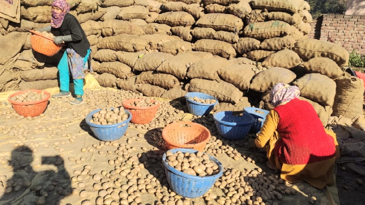 Deputy Director Horticulture in Agra said if there is space in cold storage do not forbid keeping potatoes