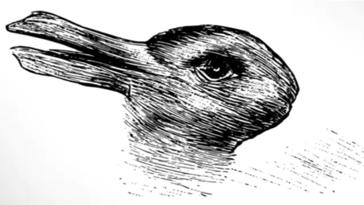 viral optical illusion find out hidden the animal from illusion image check your brain iq test