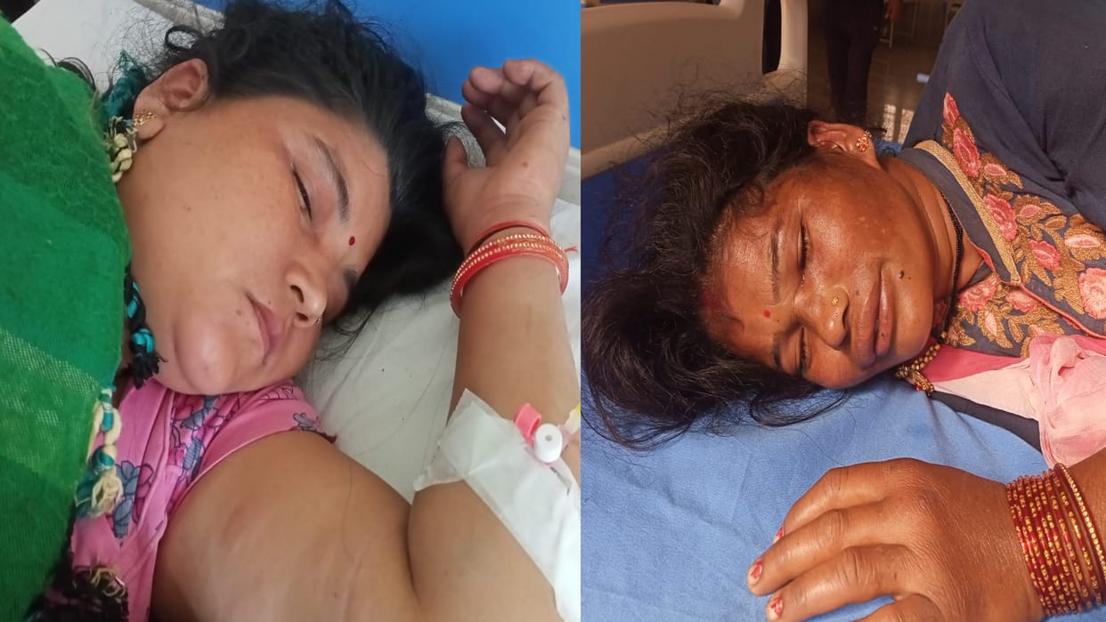 Wasp attack on women in forest more than six women injured Champawat Tanakpur Uttarakhand News in hindi