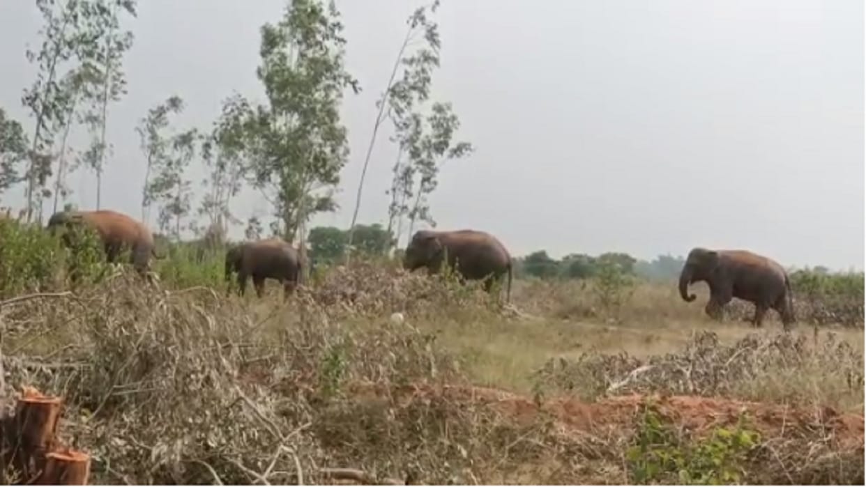 Uttarakhand: Community participation will increase to reduce human wildlife conflict