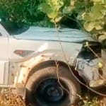 दमोह एसपी की कार पेड़ से टकरा गई, जिसमें वे भी घायल हुए हैं।