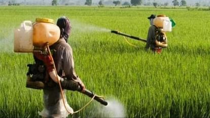 Insect Literacy Mission: Farmers befriend insects in four districts of Haryana, doing chemical free farming