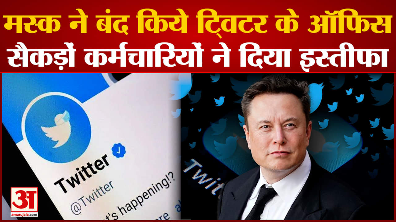 एलन मस्क