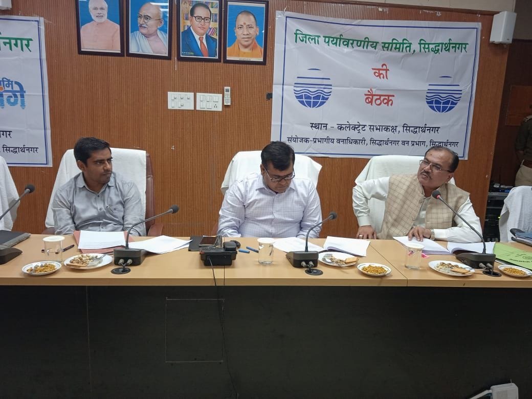 dm meeting in colectrate
