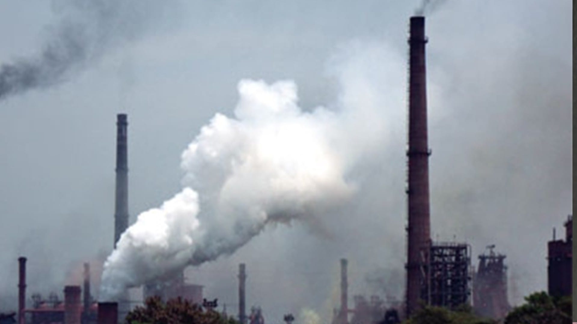 Now wood will not burn in government bonfire in Indore, know what will happen in Indore to stop air pollution