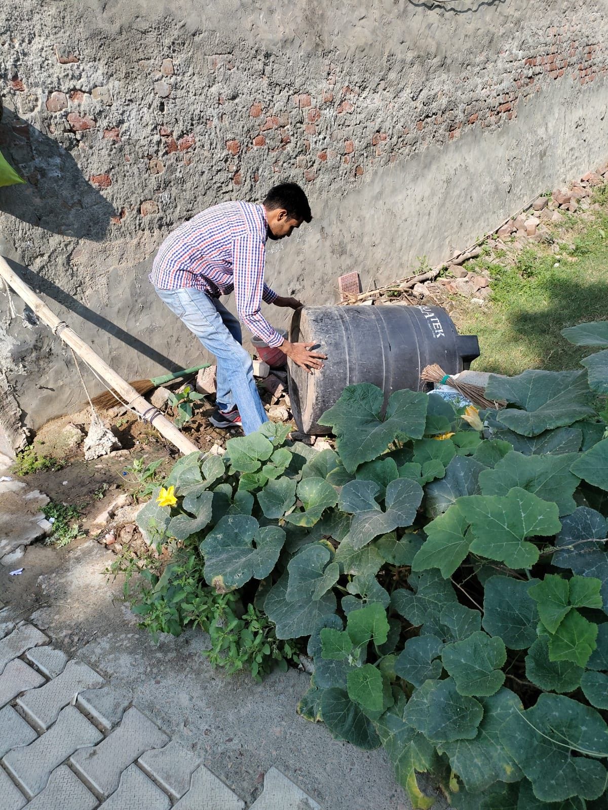 Dengue outbreak: 266 people fall prey to covid-19