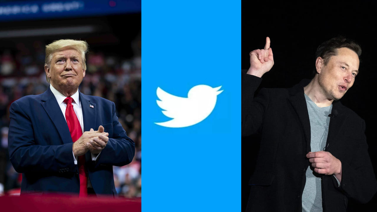 Trump Back On Twitter Users sharing memes on Trump return know what is the reaction