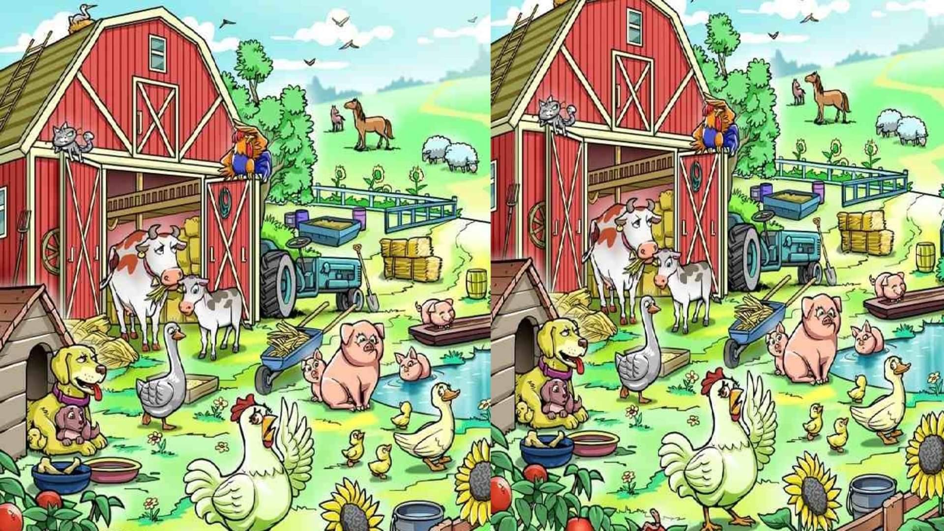 optical illusion can you spot the hen hiding in image google trends