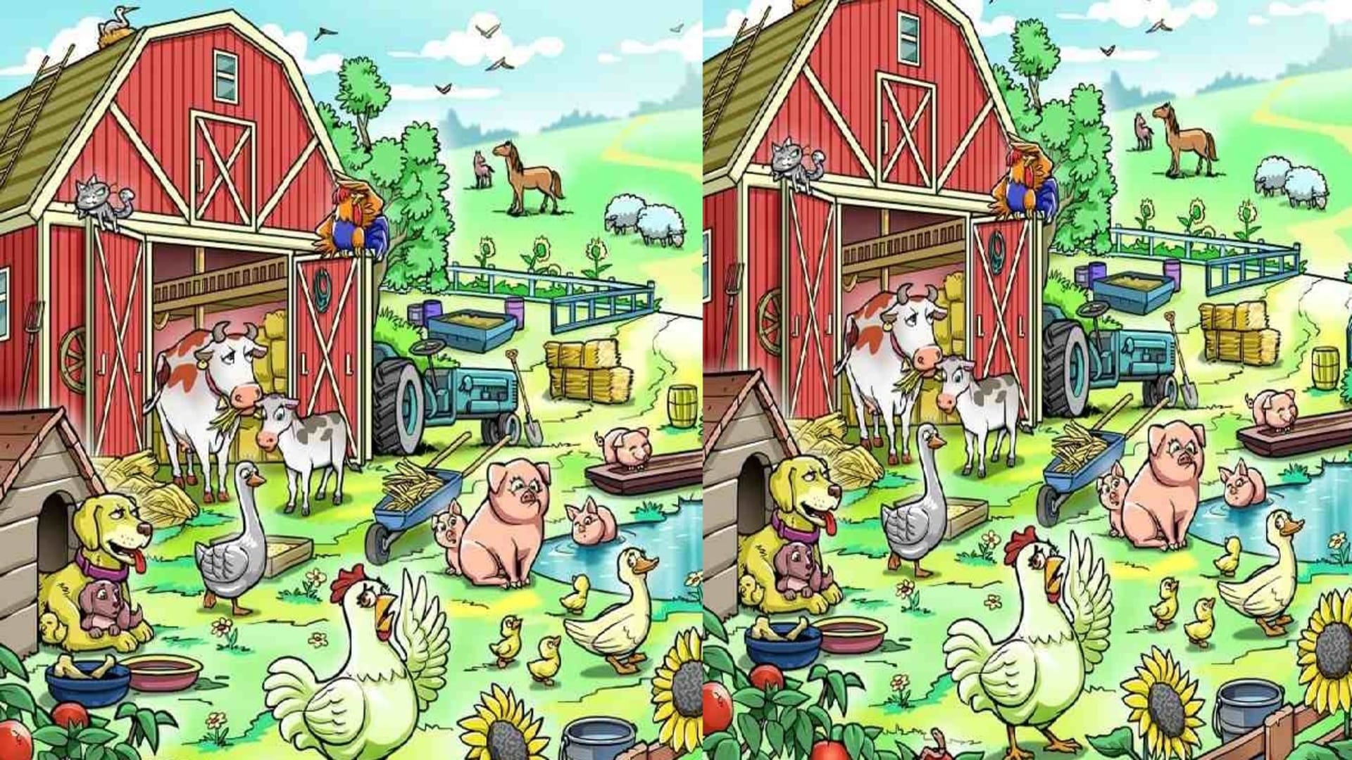 optical illusion can you spot the hen hiding in image google trends