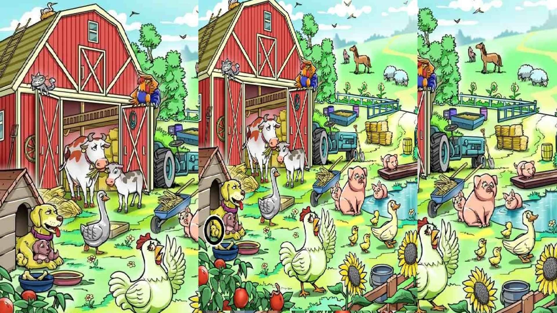 optical illusion can you spot the hen hiding in image google trends