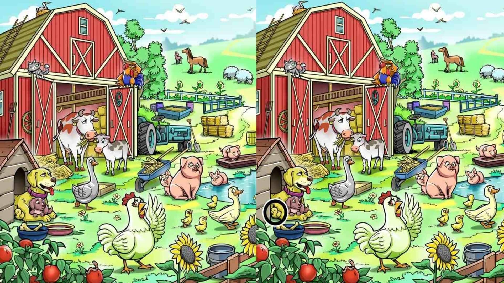 optical illusion can you spot the hen hiding in image google trends