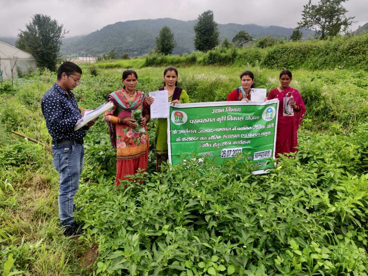 Cluster level Farming in Champawat