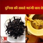 एयूवी