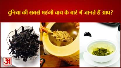Do you know about the world's most expensive tea?