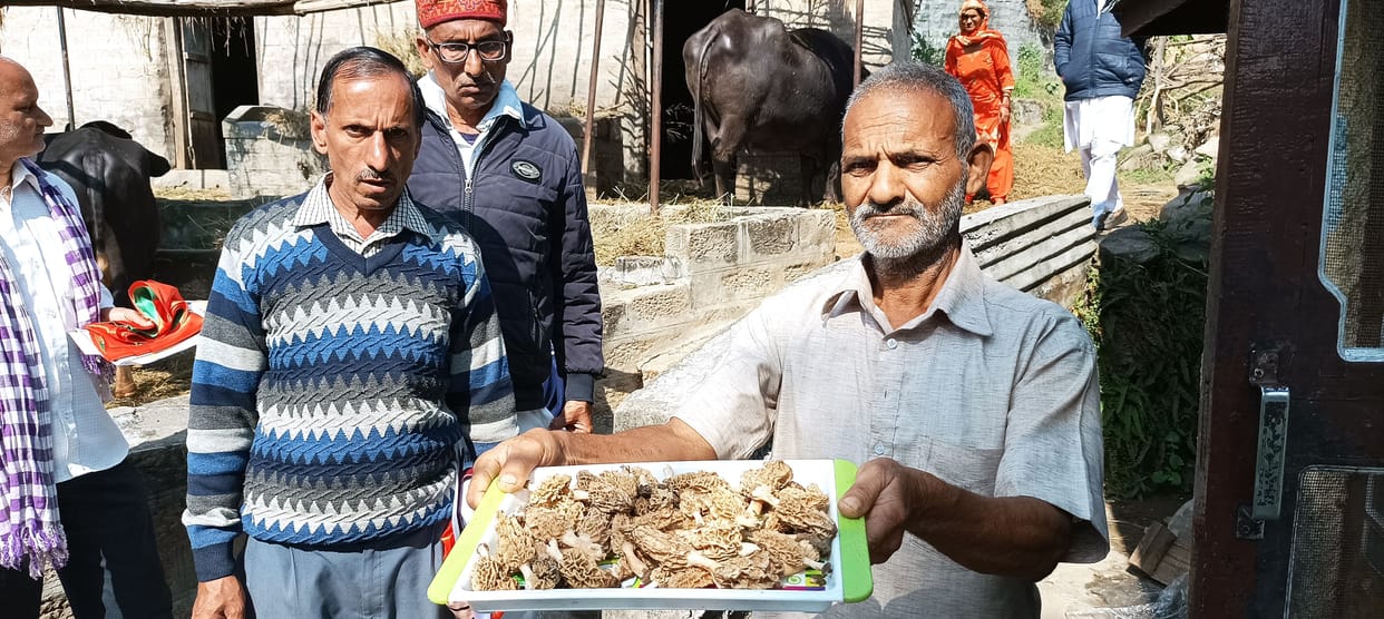 Rajendra Kumar got bunch in Gujarehada village of Jhanduta